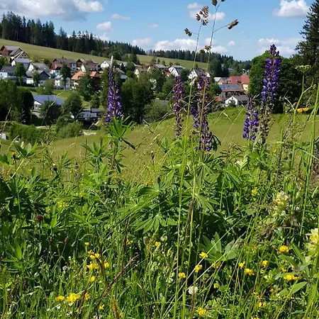 Apartamento Morgensonne Schönwalde